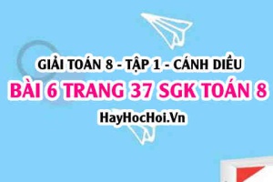 Giải bài 6 trang 37 Toán 8 Tập 1 SGK Cánh Diều